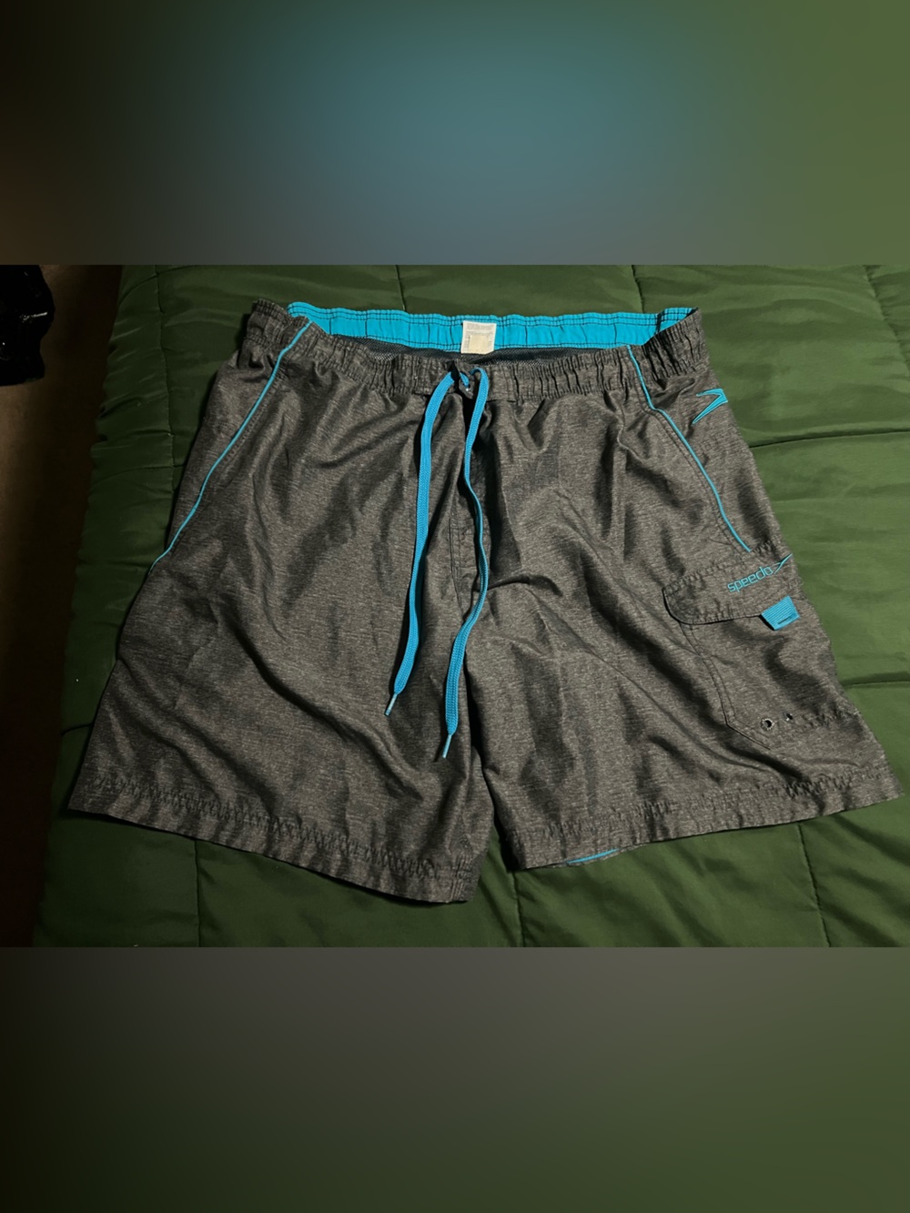 Speedo Gray Swim Board Shorts with Turquoise Trim